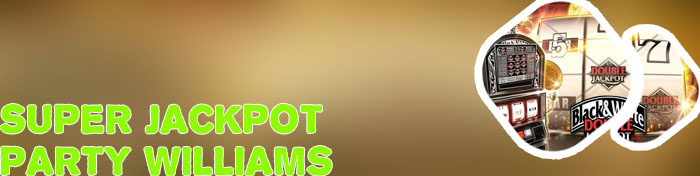 Jackpot party slot machine for sale